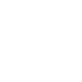 languages